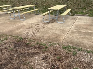 Rain Garden-01